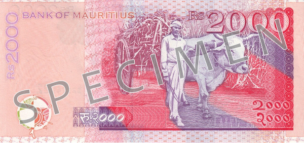 Reverse of banknote 2000 Mauritian rupee